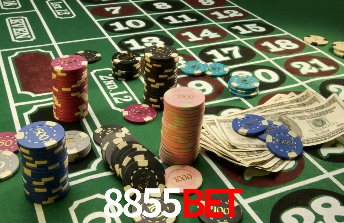 8855bet.com