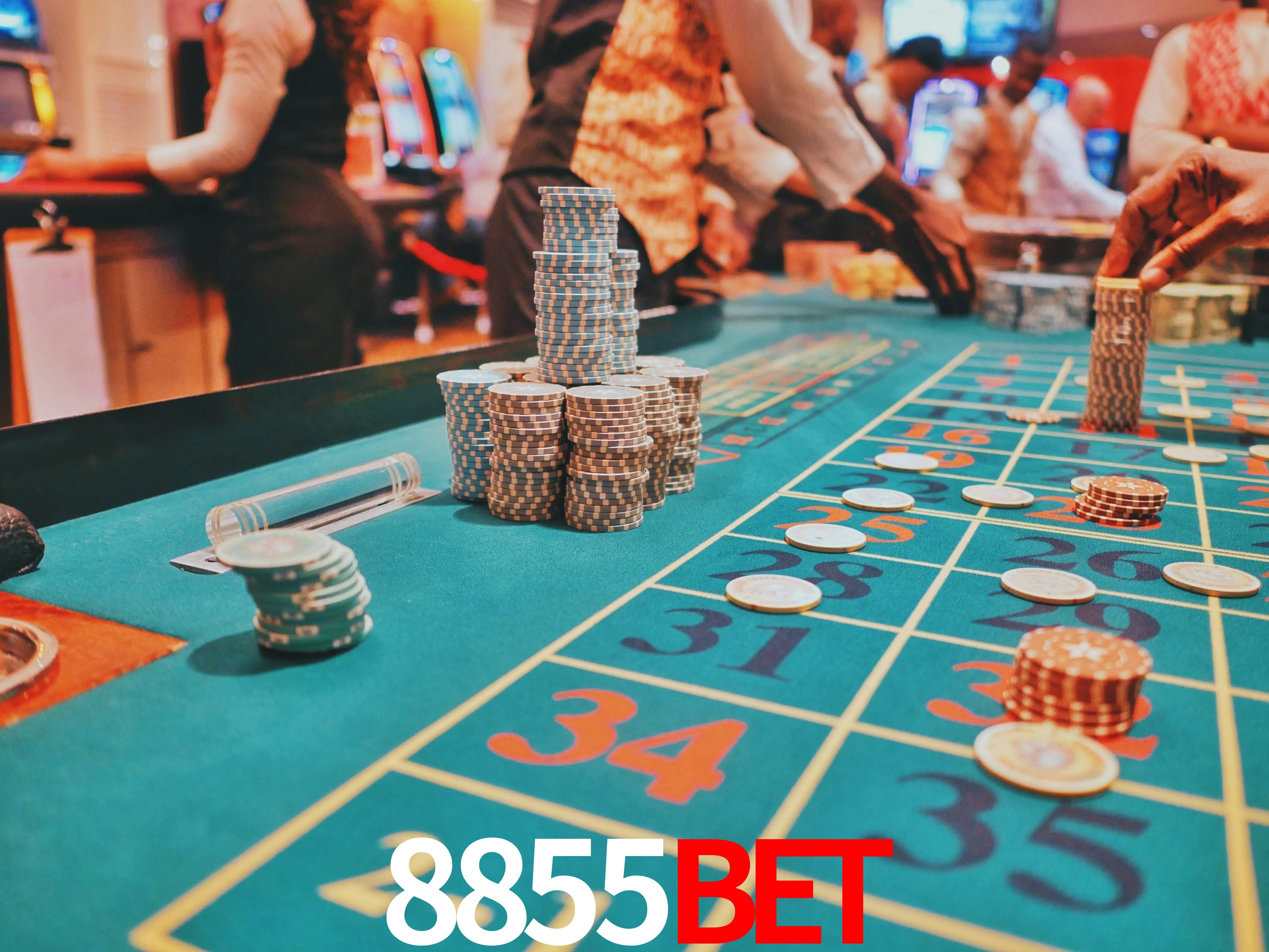 Estatísticas do Jogo 8855bet